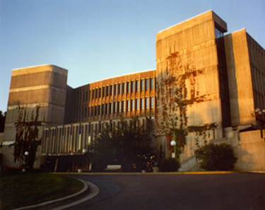msvu_seton