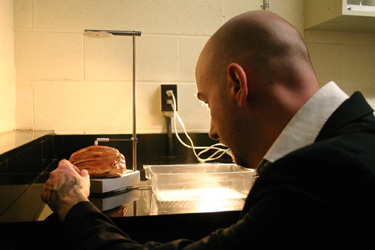 Michael Groenendyk prepares a red abalone shell for 3D scanning