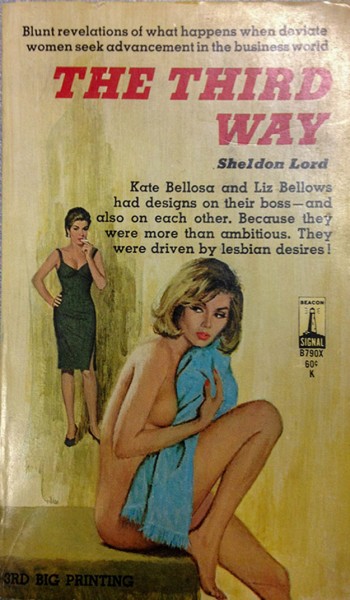 The provocative language and racy cover-art of The Third Way, written by Sheldon Lord under the name Lawrence Block, and published in 1962, are a common theme in the collection. (Photo: Tyler LeBlanc)