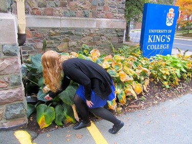 A close look reveals rodent traps that have been set on campus. This one is set beside the chapel at the Coburg Road entrance to the university.