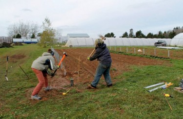 Building a greenhouse. (Photo by: Heart Beet Organics)