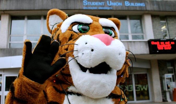 Students say the Tiger Society website fails at reaching out to newcomers. Photo: Sergio Gonzalez