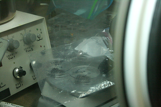 Solar cells are kept in the "glove box," a controlled atmosphere that has no oxygen or water vapor. Photo: Elizabeth Whitten