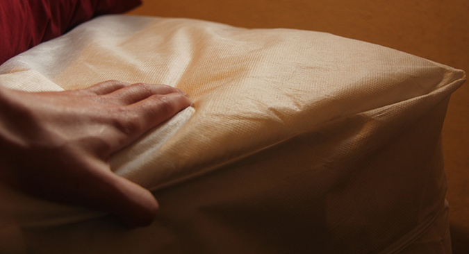 People use encasings, such as the one depicted above, to prevent bed bug infestations. Photo: Ameya Charnalia
