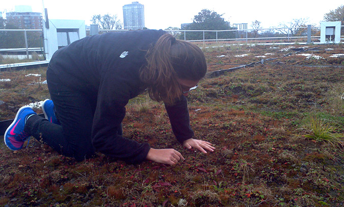 Saint Mary’s University masters student Emily Walker measures water absorption in the soil of one of the school’s green roofs. Photo: Mark Henderson